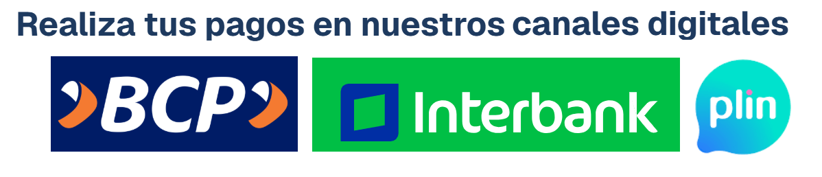 Pagos rápidos y seguros